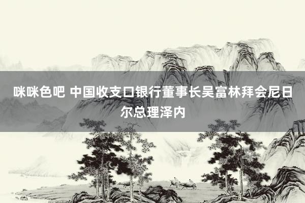 咪咪色吧 中国收支口银行董事长吴富林拜会尼日尔总理泽内