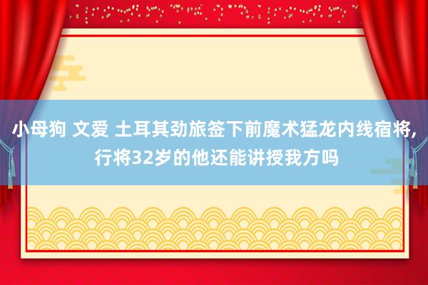 小母狗 文爱 土耳其劲旅签下前魔术猛龙内线宿将， 行将32岁的他还能讲授我方吗