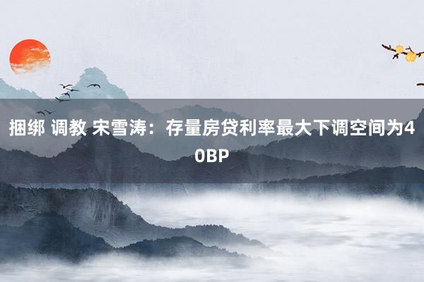 捆绑 调教 宋雪涛：存量房贷利率最大下调空间为40BP