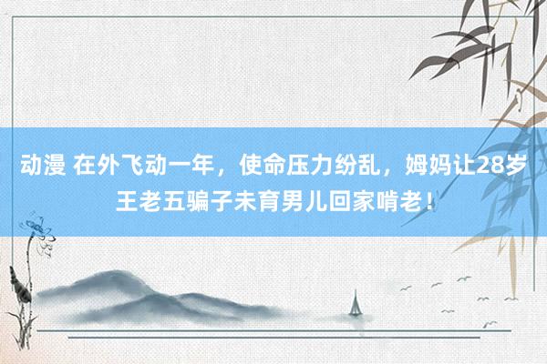 动漫 在外飞动一年，使命压力纷乱，姆妈让28岁王老五骗子未育男儿回家啃老！