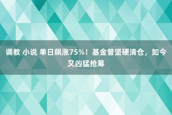 调教 小说 单日飙涨75%！基金曾坚硬清仓，如今又凶猛抢筹