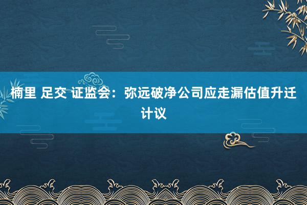 楠里 足交 证监会：弥远破净公司应走漏估值升迁计议