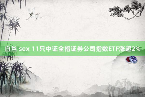 白丝 sex 11只中证全指证券公司指数ETF涨超2%