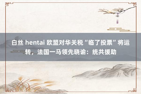 白丝 hentai 欧盟对华关税“临了投票”将运转，法国一马领先晓谕：统共援助