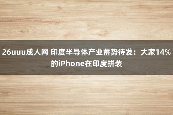 26uuu成人网 印度半导体产业蓄势待发：大家14%的iPhone在印度拼装