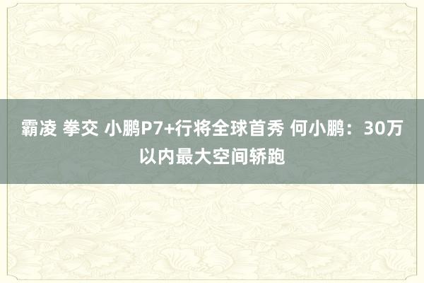 霸凌 拳交 小鹏P7+行将全球首秀 何小鹏：30万以内最大空间轿跑