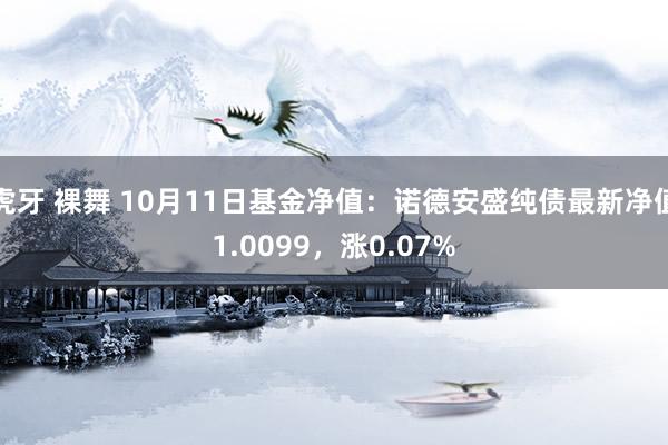 虎牙 裸舞 10月11日基金净值：诺德安盛纯债最新净值1.0099，涨0.07%