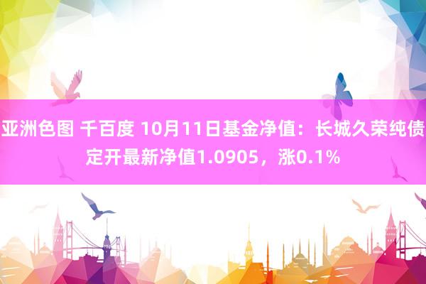 亚洲色图 千百度 10月11日基金净值：长城久荣纯债定开最新净值1.0905，涨0.1%