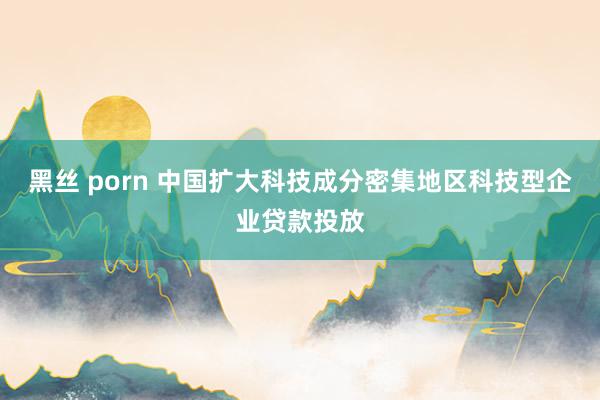 黑丝 porn 中国扩大科技成分密集地区科技型企业贷款投放