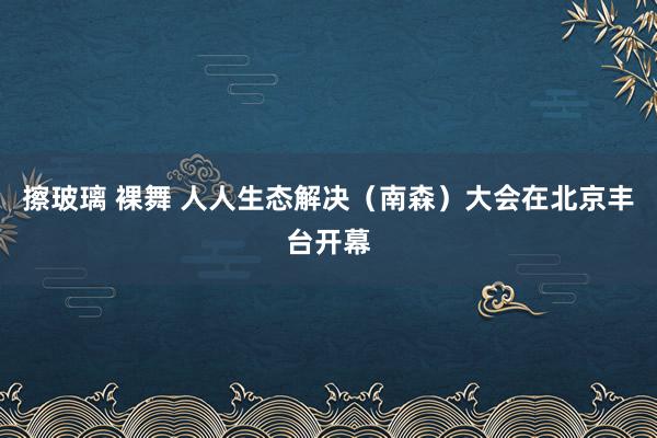 擦玻璃 裸舞 人人生态解决（南森）大会在北京丰台开幕