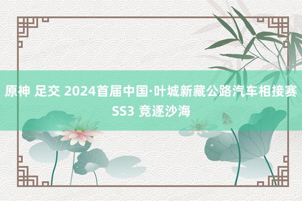 原神 足交 2024首届中国·叶城新藏公路汽车相接赛SS3 竞逐沙海