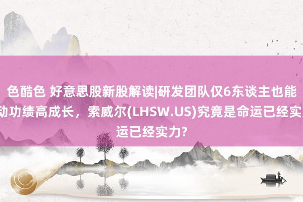 色酷色 好意思股新股解读|研发团队仅6东谈主也能带动功绩高成长，索威尔(LHSW.US)究竟是命运已经实力?