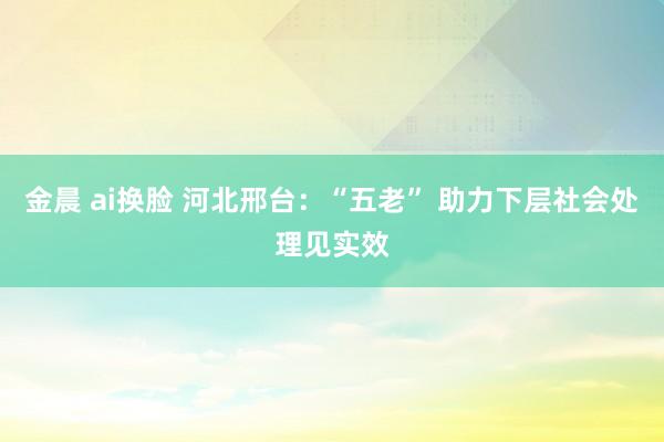 金晨 ai换脸 河北邢台：“五老” 助力下层社会处理见实效