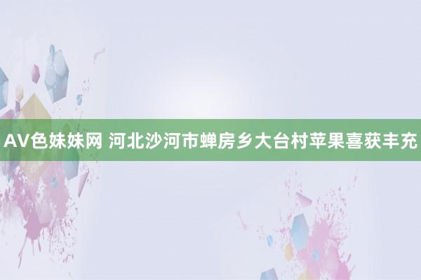 AV色妹妹网 河北沙河市蝉房乡大台村苹果喜获丰充