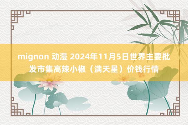 mignon 动漫 2024年11月5日世界主要批发市集高辣小椒（满天星）价钱行情