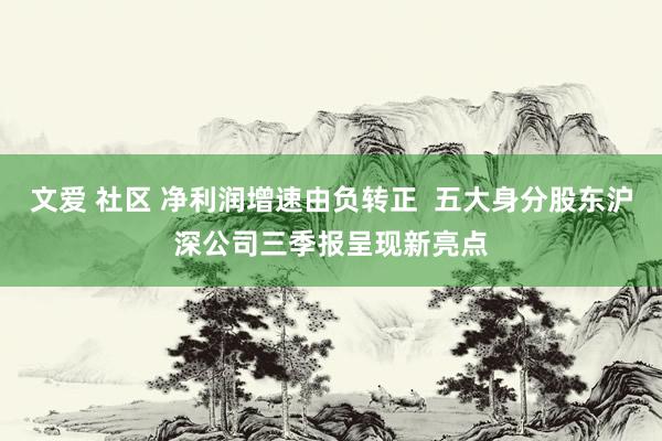 文爱 社区 净利润增速由负转正  五大身分股东沪深公司三季报呈现新亮点