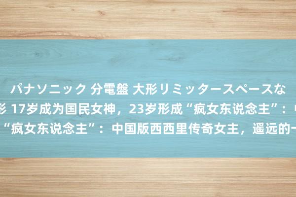 パナソニック 分電盤 大形リミッタースペースなし 露出・半埋込両用形 17岁成为国民女神，23岁形成“疯女东说念主”：中国版西西里传奇女主，遥远的一声欷歔