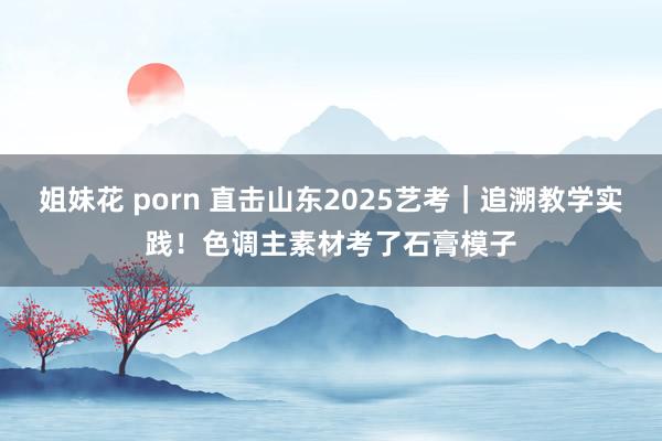 姐妹花 porn 直击山东2025艺考｜追溯教学实践！色调主素材考了石膏模子