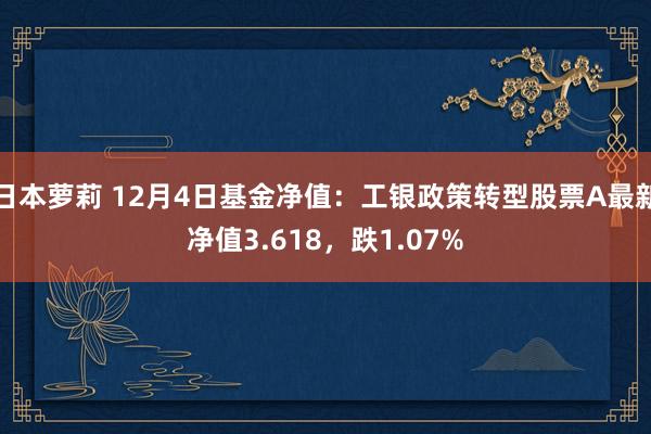 日本萝莉 12月4日基金净值：工银政策转型股票A最新净值3.618，跌1.07%