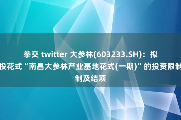 拳交 twitter 大参林(603233.SH)：拟改造募投花式“南昌大参林产业基地花式(一期)”的投资限制及结项