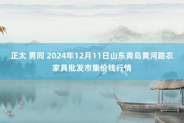 正太 男同 2024年12月11日山东青岛黄河路农家具批发市集价钱行情