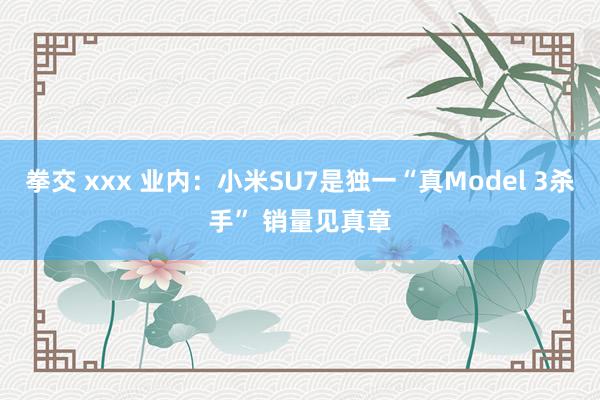 拳交 xxx 业内：小米SU7是独一“真Model 3杀手” 销量见真章