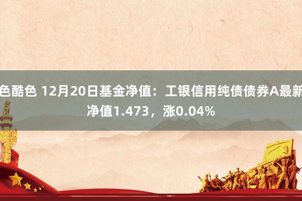 色酷色 12月20日基金净值：工银信用纯债债券A最新净值1.473，涨0.04%