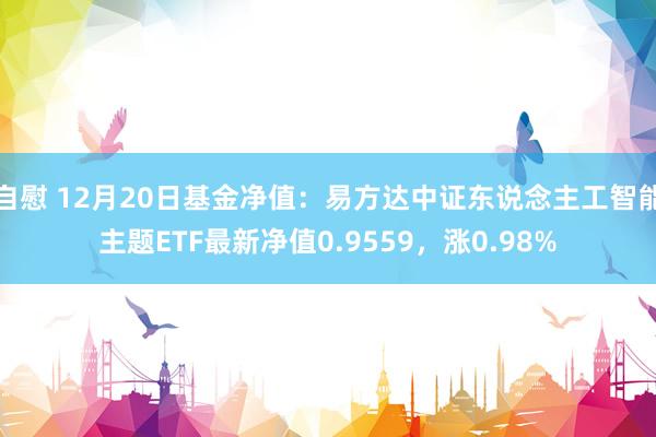 自慰 12月20日基金净值：易方达中证东说念主工智能主题ETF最新净值0.9559，涨0.98%