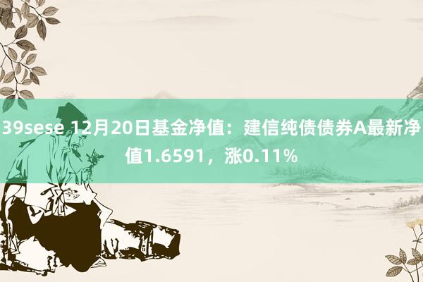 39sese 12月20日基金净值：建信纯债债券A最新净值1.6591，涨0.11%