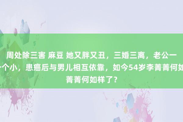 周处除三害 麻豆 她又胖又丑，三婚三离，老公一个比一个小，患癌后与男儿相互依靠，如今54岁李菁菁何如样了？