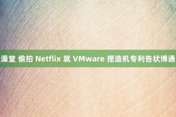 澡堂 偷拍 Netflix 就 VMware 捏造机专利告状博通