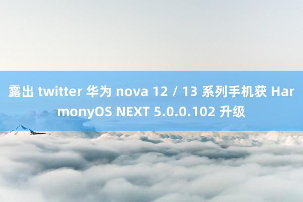 露出 twitter 华为 nova 12 / 13 系列手机获 HarmonyOS NEXT 5.0.0.102 升级