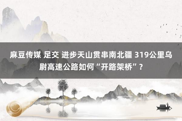 麻豆传媒 足交 进步天山贯串南北疆 319公里乌尉高速公路如何“开路架桥”？