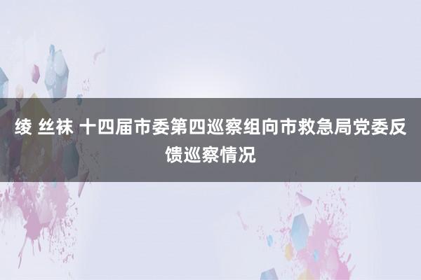 绫 丝袜 十四届市委第四巡察组向市救急局党委反馈巡察情况