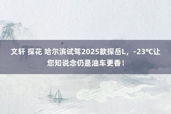 文轩 探花 哈尔滨试驾2025款探岳L，-23℃让您知说念仍是油车更香！