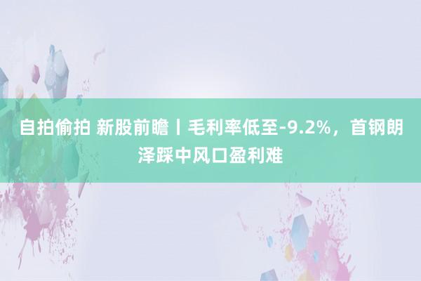 自拍偷拍 新股前瞻丨毛利率低至-9.2%，首钢朗泽踩中风口盈利难