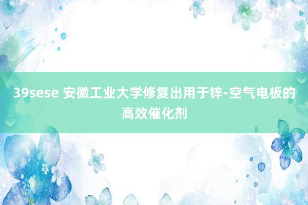 39sese 安徽工业大学修复出用于锌-空气电板的高效催化剂