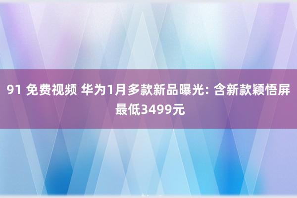 91 免费视频 华为1月多款新品曝光: 含新款颖悟屏 最低3499元