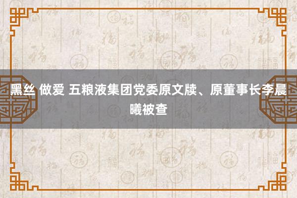 黑丝 做爱 五粮液集团党委原文牍、原董事长李晨曦被查