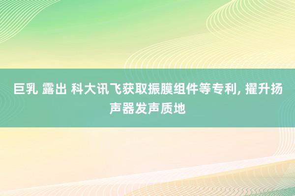 巨乳 露出 科大讯飞获取振膜组件等专利， 擢升扬声器发声质地