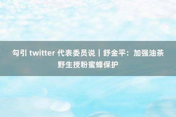 勾引 twitter 代表委员说｜舒金平：加强油茶野生授粉蜜蜂保护